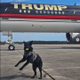 US DEPORTATION DOG MASCOT logo