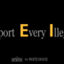 Deport Every Illegal logo