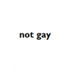 buy this shit if youre not gay logo