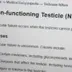 non functioning testicle logo