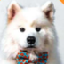NEW NHL MASCOT logo