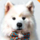 NEW NHL MASCOT logo