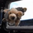 SNOOPY