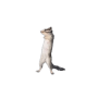 Alvin