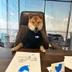 DOGE CEO logo