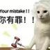 China's New Viral Cat Meme logo