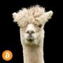 Alpaca