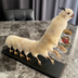 Drunk Chicken Centipede logo