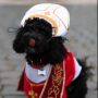 ROMEO