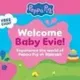 NEW BABY PIG NAME  logo