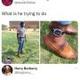 Watch his step logo