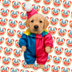 clowdog logo