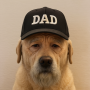 Dag