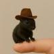 Peanut the microSquirrel logo