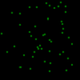 HC1 logo