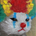 buy this or you're a clown🤡 logo