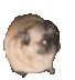Happy Dog logo