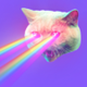 pew pew logo