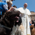 POPE FRANCIS DOG logo