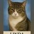 Liunda logo