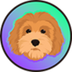Rocky logo
