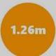 THIS WILL GO 1.26M logo