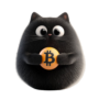 BITCAT