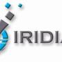 IRIDIA