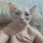 horny