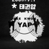 taekwonyap logo