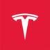✅TESLA AI logo
