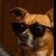 Baby Theo Von Dog logo