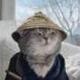 Samurai Cat logo