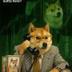DOGE CODED logo