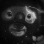 DAVOWIFMAS