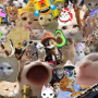 cats