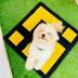 BINANCE DOG logo