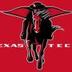 Texas Tech Project logo