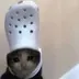 croc cat logo