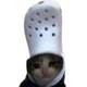 croc cat logo