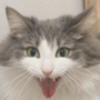 Naoya