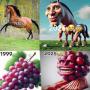 Evolved