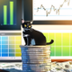 Purr Finance logo