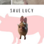 LUCY