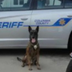 Police deputy dead logo