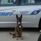 Police deputy dead logo