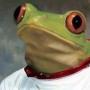 Moonfrog