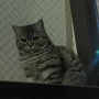 FUKU