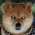 Dark Shiba Inu logo