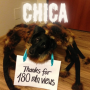 CHICA